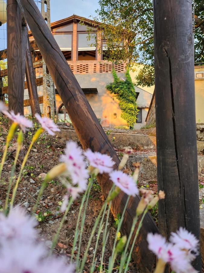 Il Giuggiolo - La Collina Della Quiete Bed & Breakfast Черталдо Екстериор снимка