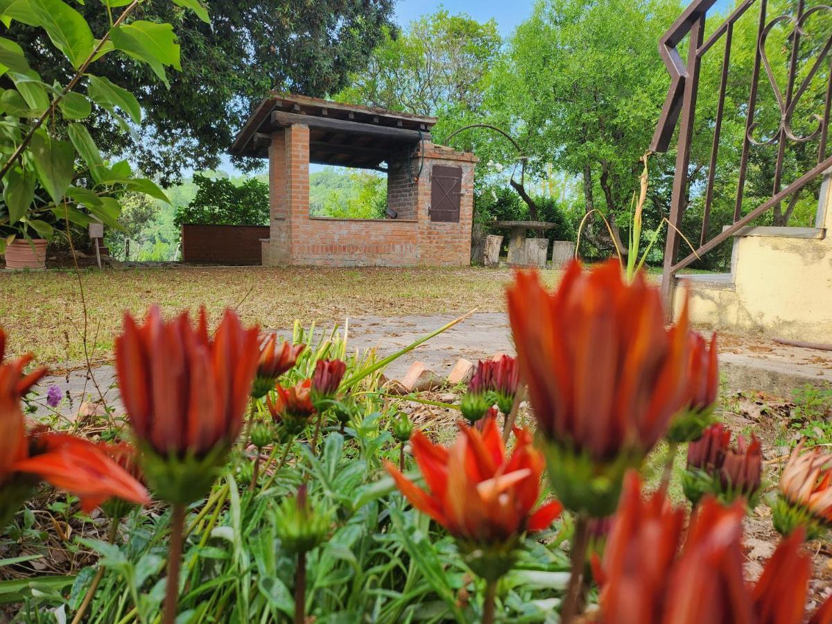 Il Giuggiolo - La Collina Della Quiete Bed & Breakfast Черталдо Екстериор снимка